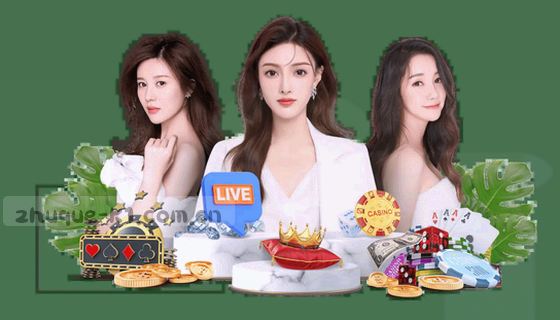 支持的赛事项目有哪些？